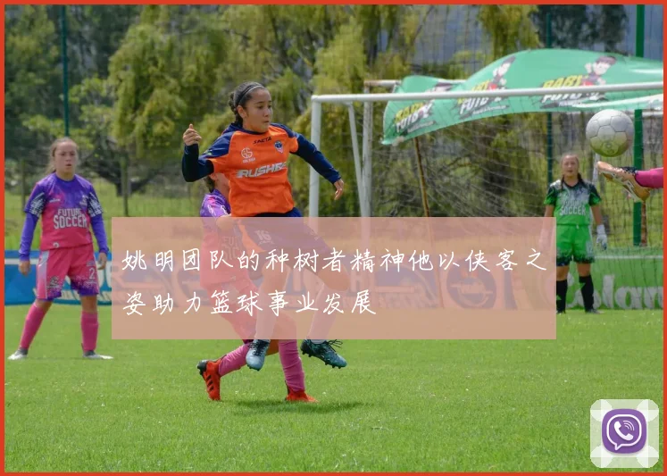 姚明团队的种树者精神他以侠客之姿助力篮球事业发展