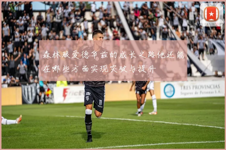 森林狼爱德华兹的成长之路他还能在哪些方面实现突破与提升