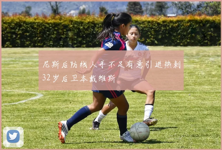 尼斯后防线人手不足有意引进热刺32岁后卫本戴维斯